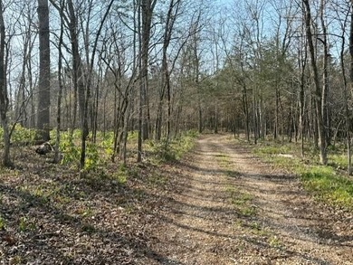 262+/- acre & country home for sale with long frontage on the - photo 36