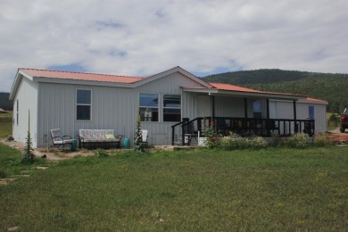 Eagle Nest Lake Home For Sale in Eagle Nest New Mexico