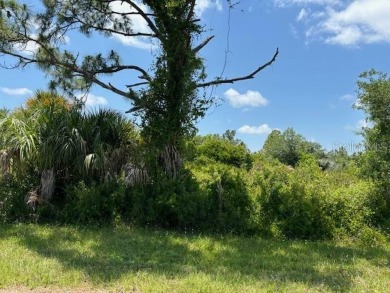 Port Charlotte Waterway Lakes Area Lot For Sale in Port Charlotte Florida