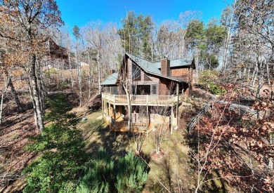 Lake Home For Sale in Blue Ridge, Georgia