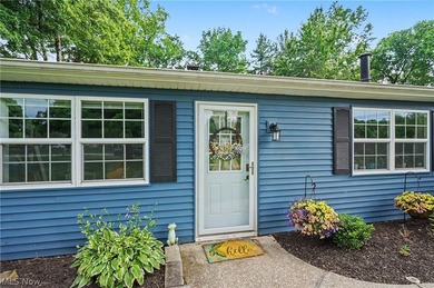 Stylish, ranch home on 1 acre lot in Aurora. This 3-bedroom 2 - photo 3