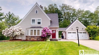 Lake Home For Sale in Busti, New York