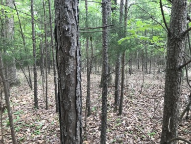 Lake Acreage For Sale in Dunlap, Tennessee