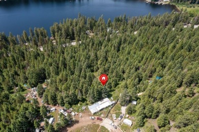 Sacheen Lake Acreage For Sale in Newport Washington