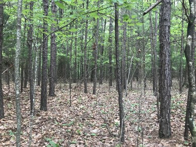 Beautiful 10.04 acre lot in Bluff View Estates! This lot has - photo 2