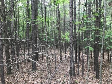 Beautiful 10.04 acre lot in Bluff View Estates! This lot has - photo 4