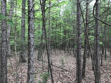 Beautiful 10.04 acre lot in Bluff View Estates! This lot has - photo 5