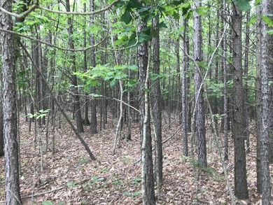 Beautiful 10.04 acre lot in Bluff View Estates! This lot has - photo 7