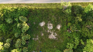 Lehigh Acres Area Lot For Sale in Lehigh Acres Florida