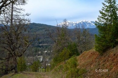 Trinity Lake / Clair Engle Lake Acreage For Sale in Lewiston California
