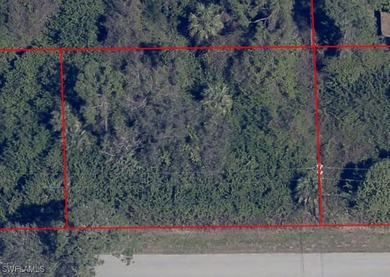 Lehigh Acres Area Lot For Sale in Lehigh Acres Florida