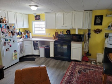 This 4 Bedroom 2-bathroom doublewide sits on a corner fenced lot - photo 4