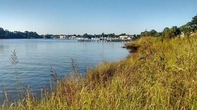 Lot in the City of Georgetown. Minutes from downtown restaurants - photo 3