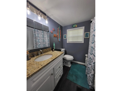 PRICE REDUCED!! Seller motivated. Fully remodeled and move-in - photo 11