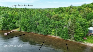 Lake Lot For Sale in Three Lakes, Wisconsin