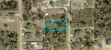 Lehigh Acres Area Lot For Sale in Lehigh Acres Florida