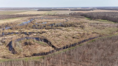 Located in highly sought-after Point Township in Posey County - photo 7