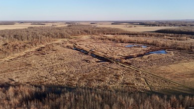 Located in highly sought-after Point Township in Posey County - photo 8