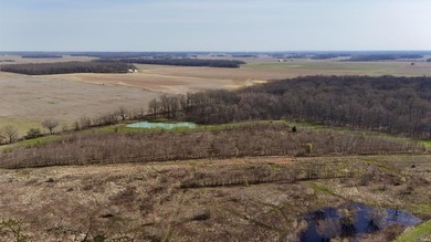 Located in highly sought-after Point Township in Posey County - photo 10