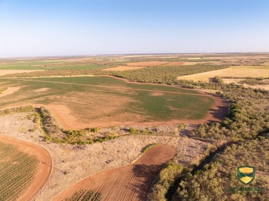 Lake Acreage For Sale in Sylvester, Texas