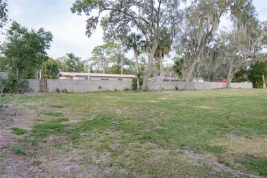 Welcome to this charming residential lot at 136 N 9th St in Lake - photo 13