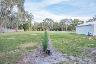 Welcome to this charming residential lot at 136 N 9th St in Lake - photo 14