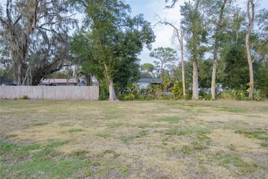 Welcome to this charming residential lot at 136 N 9th St in Lake - photo 15