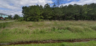 Discover the perfect opportunity to build your dream home - photo 3