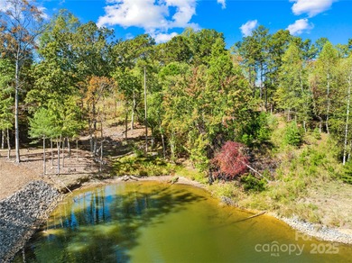 Lake Lot For Sale in Granite Falls, North Carolina