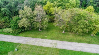 70 x 40 Accessory Lot in Schuhler's Landing on Big Turkey Lake - Lake Lot For Sale in Hudson, Indiana