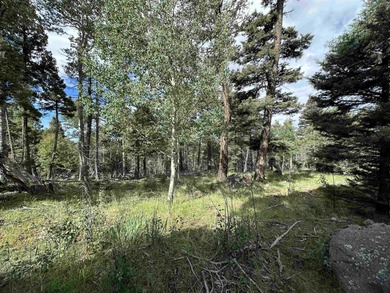 Monte Verde Lake Lot For Sale in Angel Fire New Mexico