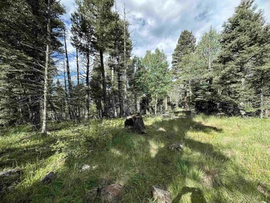 Beautiful lot with very gentle slope ready to build that dream - photo 2