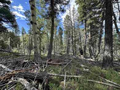 Beautiful lot with very gentle slope ready to build that dream - photo 3