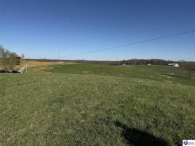2.06 acres with utilities available AND a gorgeous 150x100 pond - photo 11