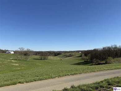 2.06 acres with utilities available AND a gorgeous 150x100 pond - photo 12