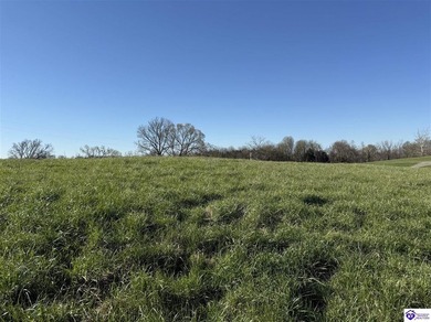 2.06 acres with utilities available AND a gorgeous 150x100 pond - photo 13