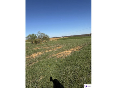 2.06 acres with utilities available AND a gorgeous 150x100 pond - photo 14