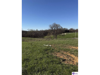 2.06 acres with utilities available AND a gorgeous 150x100 pond - photo 15