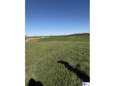 2.06 acres with utilities available AND a gorgeous 150x100 pond - photo 17