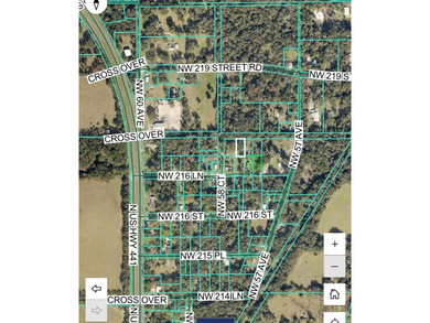 Orange Lake Lot For Sale in Micanopy Florida