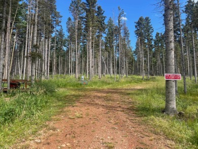 Hidden Lake - Colfax County Acreage For Sale in Angel Fire New Mexico