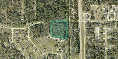 Lake Acreage For Sale in Alva, Florida