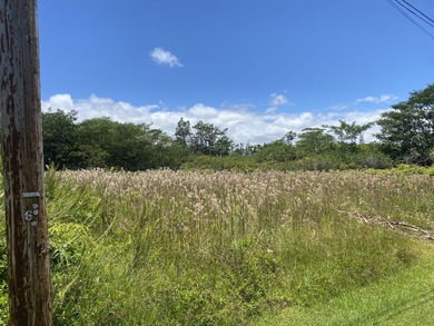 This oversized lot for Hawaiian Shores Recreational Estates is - photo 1