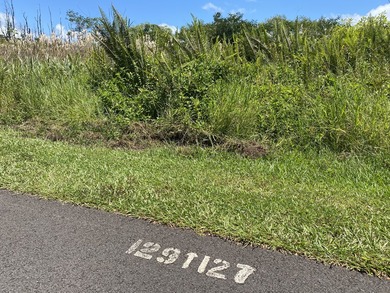 This oversized lot for Hawaiian Shores Recreational Estates is - photo 3