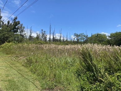 This oversized lot for Hawaiian Shores Recreational Estates is - photo 4