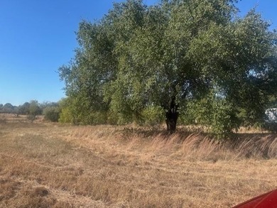 Lake Acreage For Sale in Granbury, Texas