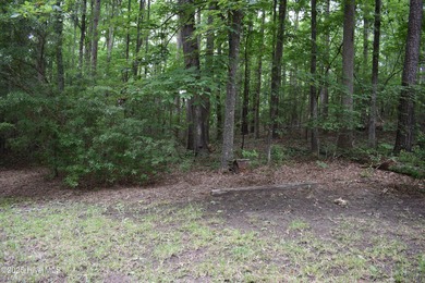 Pamlico River Lot For Sale in Blounts Creek North Carolina