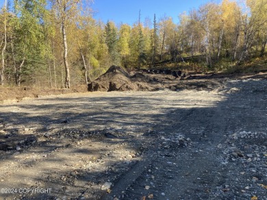 Lake Lot For Sale in Palmer, Alaska