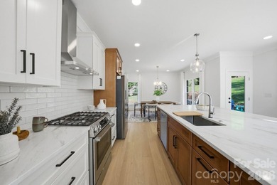 DREAMS DO COME TRUE! LAKE NORMAN LIFESTYLE AT AN AFFORDABLE $ - photo 13