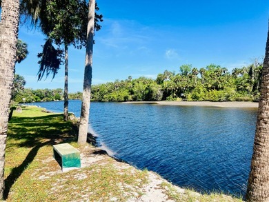 ALL AGE PARK, PET FRIENDLY, $550/MONTH LOT RENT UTILITIES - photo 18
